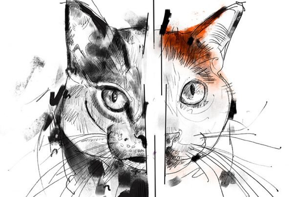 Rupe Tattoer - Minimal Ink